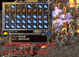 如何快速提升永恒传奇私服角色等级与装备? 如何快速提升永恒传奇私服角色等级与装备?
