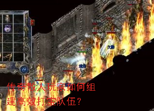 ����ɢ���������齨��Ч�򱦶��飿