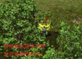 星痕版本迷失传奇现在还能找到吗? 星痕版本迷失传奇现在还能找到吗?