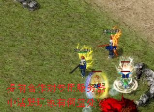 提前合作对专用服务器中活跃玩家有何益处? 提前合作对专用服务器中活跃玩家有何益处?