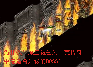Ϊʲôţħ������Ϊ�б䴫�������ʺ�������BOSS��