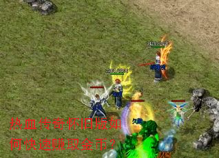 热血传奇怀旧版如何快速赚取金币? 热血传奇怀旧版如何快速赚取金币?