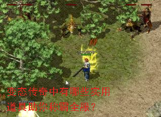 变态传奇中有哪些实用道具助你称霸全服? 变态传奇中有哪些实用道具助你称霸全服?