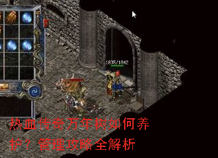 热血传奇万年树如何养护?管理攻略全解析 热血传奇万年树如何养护?管理攻略全解析