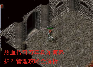 热血传奇万年树如何养护?管理攻略全解析 热血传奇万年树如何养护?管理攻略全解析