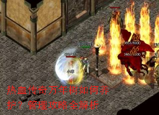 热血传奇万年树如何养护?管理攻略全解析 热血传奇万年树如何养护?管理攻略全解析