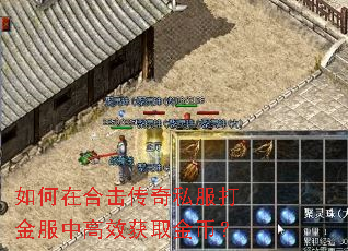 如何在合击传奇私服打金服中高效获取金币? 如何在合击传奇私服打金服中高效获取金币?