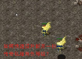 如何快速提升新开一秒传奇私服角色等级? 如何快速提升新开一秒传奇私服角色等级?