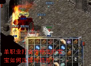 单职业打金传奇法师宝宝如何选择与培养? 单职业打金传奇法师宝宝如何选择与培养?