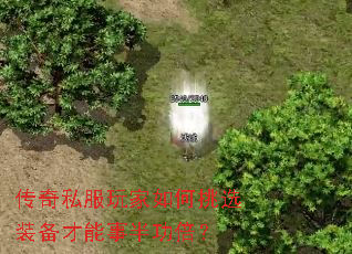 ����˽����������ѡװ�������°빦����