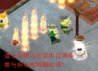 道士如何巧妙运用召唤神兽与施毒术制霸战场? 道士如何巧妙运用召唤神兽与施毒术制霸战场?