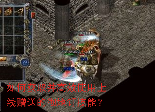 ��λ�ȡ����Чʹ���������͵ĳ��ض����ܣ�