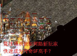 ������ϵͳ���������ҿ��ٳ�Ϊ����SF���֣�