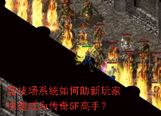 ������ϵͳ���������ҿ��ٳ�Ϊ����SF���֣�