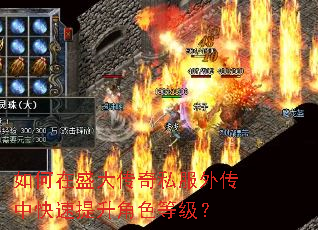 如何在盛大传奇私服外传中快速提升角色等级? 如何在盛大传奇私服外传中快速提升角色等级?