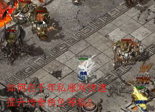 如何在千年私服网快速提升传奇角色等级? 如何在千年私服网快速提升传奇角色等级?