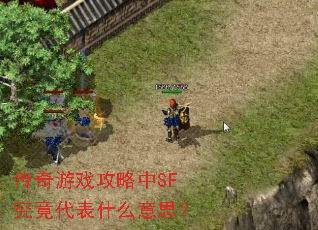 传奇游戏攻略中SF究竟代表什么意思? 传奇游戏攻略中SF究竟代表什么意思?