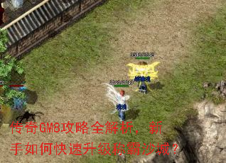传奇GM8攻略全解析,新手如何快速升级称霸沙城? 传奇GM8攻略全解析,新手如何快速升级称霸沙城?