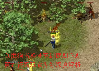 以用狗书换骨玉到底划不划算?资深玩家为你深度解析 以用狗书换骨玉到底划不划算?资深玩家为你深度解析