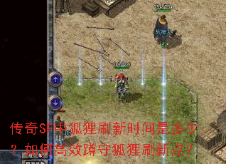 传奇SF中狐狸刷新时间是多少?如何高效蹲守狐狸刷新点? 传奇SF中狐狸刷新时间是多少?如何高效蹲守狐狸刷新点?
