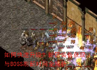 如何快速升级?新区装备获取与BOSS刷新时间全解析 如何快速升级?新区装备获取与BOSS刷新时间全解析