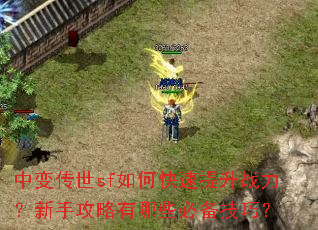 中变传世sf如何快速提升战力?新手攻略有哪些必备技巧? 中变传世sf如何快速提升战力?新手攻略有哪些必备技巧?
