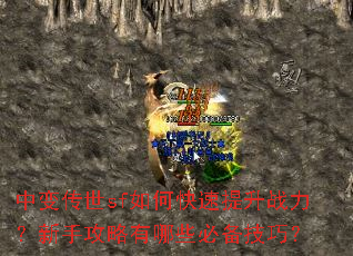 中变传世sf如何快速提升战力?新手攻略有哪些必备技巧? 中变传世sf如何快速提升战力?新手攻略有哪些必备技巧?