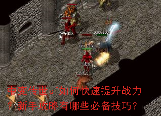 中变传世sf如何快速提升战力?新手攻略有哪些必备技巧? 中变传世sf如何快速提升战力?新手攻略有哪些必备技巧?