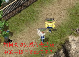 ��θ�Ч��ɴ�����Ϸ�е�������֧������
