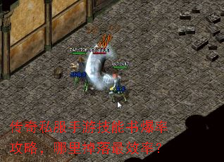 传奇私服手游技能书爆率攻略,哪里掉落最效率? 传奇私服手游技能书爆率攻略,哪里掉落最效率?