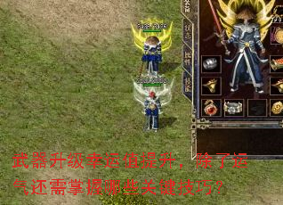 武器升级幸运值提升,除了运气还需掌握哪些关键技巧? 武器升级幸运值提升,除了运气还需掌握哪些关键技巧?