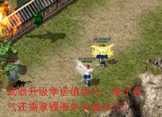 武器升级幸运值提升,除了运气还需掌握哪些关键技巧? 武器升级幸运值提升,除了运气还需掌握哪些关键技巧?