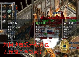 如何快速提升战谷复古传奇角色等级? 如何快速提升战谷复古传奇角色等级?