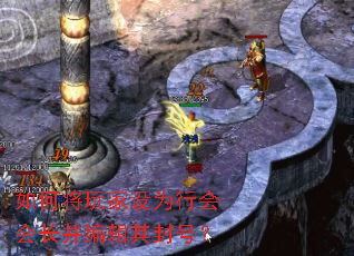 如何将玩家设为行会会长并编辑其封号? 如何将玩家设为行会会长并编辑其封号?