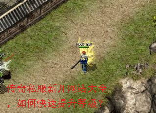 传奇私服新开网站大全,如何快速提升等级? 传奇私服新开网站大全,如何快速提升等级?