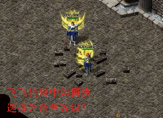 飞飞传奇中如何快速提升角色等级? 飞飞传奇中如何快速提升角色等级?