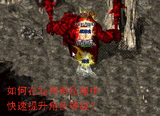 如何在3g传奇私服中快速提升角色等级? 如何在3g传奇私服中快速提升角色等级?