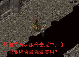 ��Ѫ����˽���ϻ����У��ĸ�ְҵ�����ǿ��ʵ�ã�
