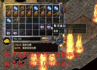 电信单职业传奇私服新手如何快速升级与获取装备? 电信单职业传奇私服新手如何快速升级与获取装备?