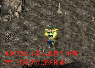 如何在新开单职业传奇中有效封挂并提升游戏体验? 如何在新开单职业传奇中有效封挂并提升游戏体验?