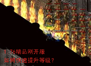 1.76精品刚开服如何快速提升等级? 1.76精品刚开服如何快速提升等级?