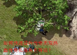 如何快速提升传奇无双热血传奇私服角色等级? 如何快速提升传奇无双热血传奇私服角色等级?