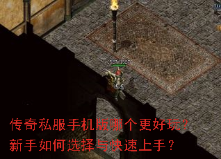 传奇私服手机版哪个更好玩?新手如何选择与快速上手? 传奇私服手机版哪个更好玩?新手如何选择与快速上手?
