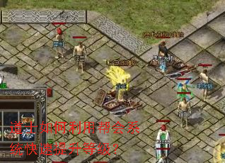 道士如何利用帮会系统快速提升等级? 道士如何利用帮会系统快速提升等级?
