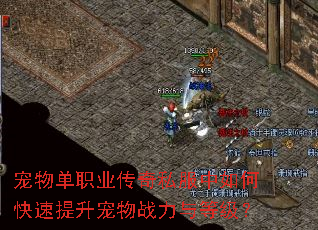 宠物单职业传奇私服中如何快速提升宠物战力与等级? 宠物单职业传奇私服中如何快速提升宠物战力与等级?