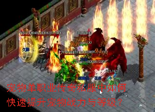 宠物单职业传奇私服中如何快速提升宠物战力与等级? 宠物单职业传奇私服中如何快速提升宠物战力与等级?
