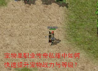 宠物单职业传奇私服中如何快速提升宠物战力与等级? 宠物单职业传奇私服中如何快速提升宠物战力与等级?