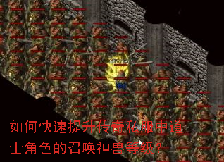 如何快速提升传奇私服中道士角色的召唤神兽等级? 如何快速提升传奇私服中道士角色的召唤神兽等级?