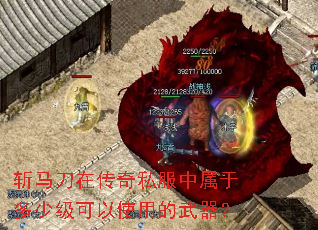 斩马刀在传奇私服中属于多少级可以使用的武器? 斩马刀在传奇私服中属于多少级可以使用的武器?