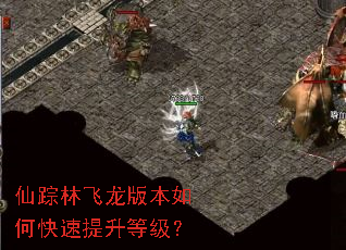 仙踪林飞龙版本如何快速提升等级? 仙踪林飞龙版本如何快速提升等级?